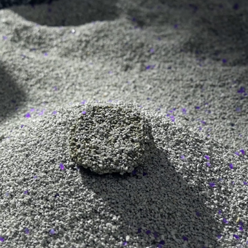 انتخاب بهترین بستر معدنی گربه: نکات عملی برای خانه ای تمیزتر